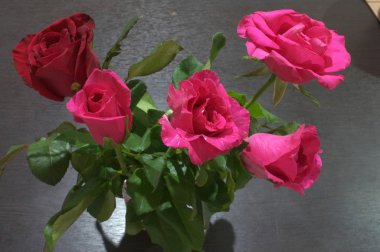 Doğal kırmızı ve pembe gül