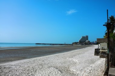 plaj ve tropikal deniz