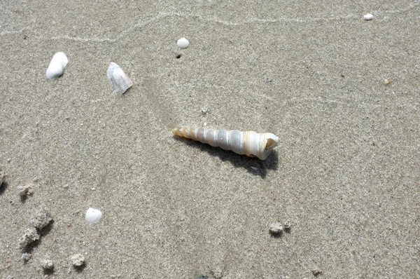Текстура пляжного песка — стоковое фото