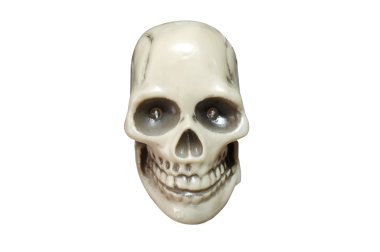 insan kafatası izole beyaz zemin üzerine