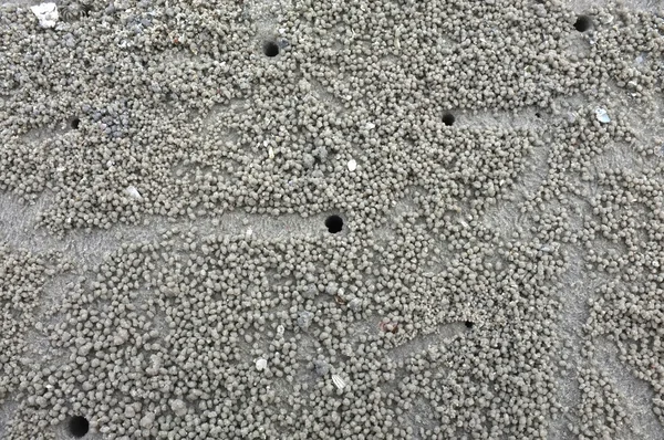 Textur von Sand am Strand — Stockfoto