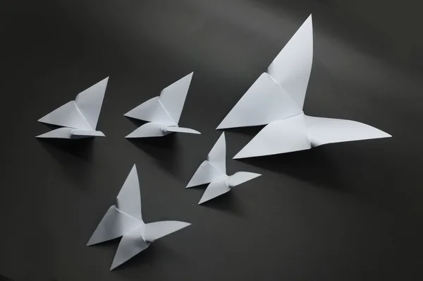 Papel mariposa origami blanco —  Fotos de Stock