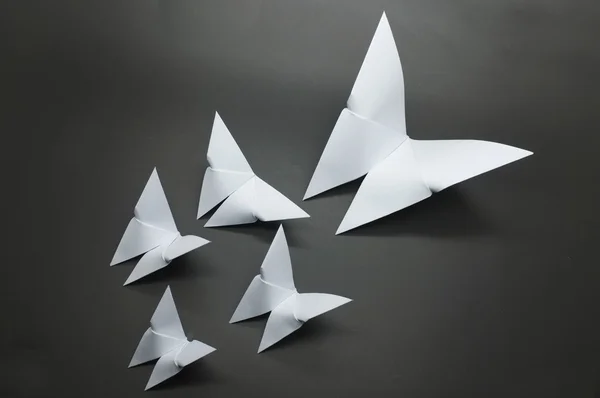 Witte origami vlinder papier — Stockfoto