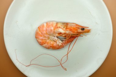 Pişmiş, haşlama, buğulama karides, karides