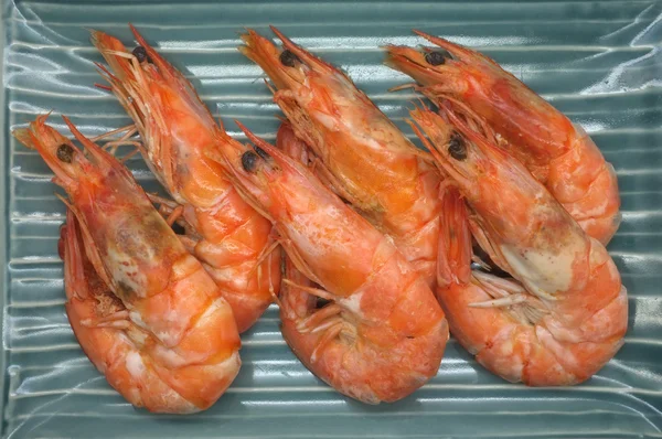 Cooked, boiled, steamed shrimp, prawn — Stock Photo, Image