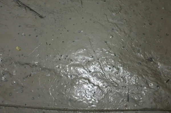 Textura de lodo o suelo marrón húmedo como arcilla orgánica natural — Foto de Stock
