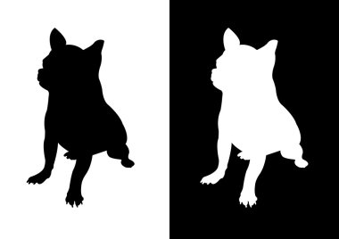 Chihuahua köpek doğurmak - siluet vektör