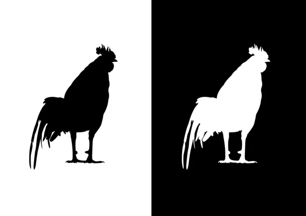 Polla, pollo, gallo - vector de silueta — Archivo Imágenes Vectoriales