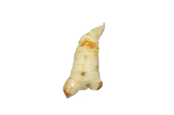 Φρέσκο galangal απομονωμένο σε λευκό φόντο — Φωτογραφία Αρχείου