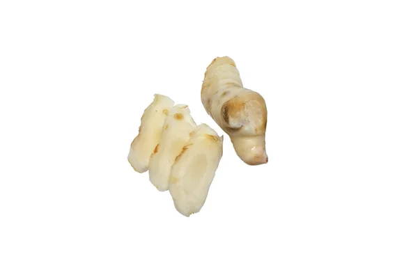 Fresh galangal isolated on white background — Stock Photo, Image