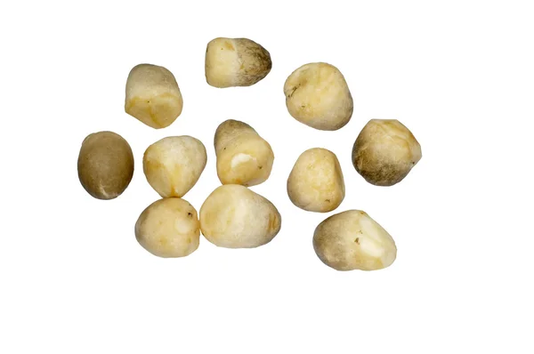 Paddy słomy grzyb na białym tle — Zdjęcie stockowe