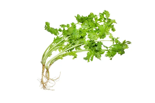 Fresh parsley isolated on white background — Stock Photo, Image