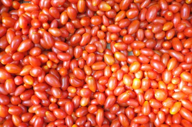 Kırmızı Kiraz veya üzüm domates