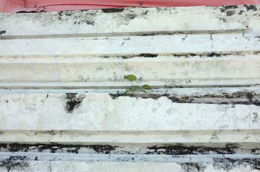 Merdiven ile lekeli çimento duvar dokusu