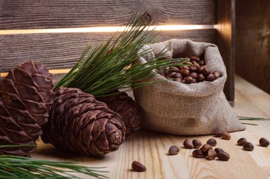 Sibirya sedir kozalakları ve tohum.