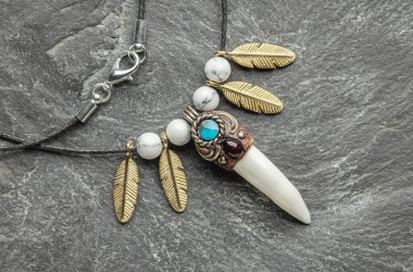 Gümüş kolye, timsah dişi ve turkuaz kaplı taş bir tabakta. Yakın çekim, stüdyo çekimi..