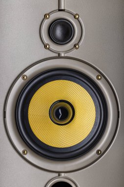 Akustik sistem, çelik yelek kaplama. Tweeter ve orta menzil hoparlörü, yakın plan.