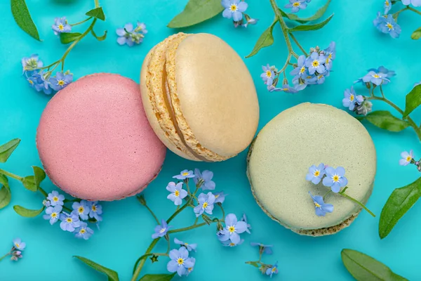 Macaroons Different Colors Blue Background Forget Nots Wallpaper Textures Close — Stock Photo, Image