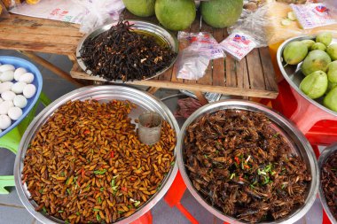 Kompong Thom, Kamboçya - 5 Kasım 2025 - 6 no 'lu Ulusal Yol' un oradaki bir dinlenme yerinde acı biber, yumurta ve egzotik meyvelerle tatlandırılmış kızarmış ipek kurtları ve çekirgeler satan açık hava pazarı standı