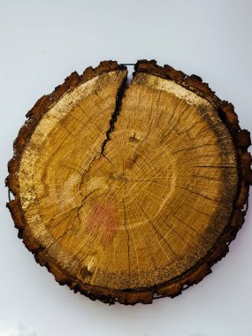 Kesilmiş ahşap bir çemberin içindeki çizgi dokusu