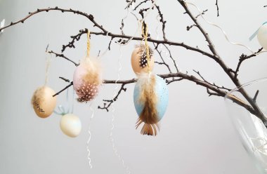 Ağaç dallarında Paskalya dekoratif yumurtalar.