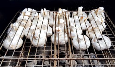 Bahar barbekü ızgarası ve ekşi krema soslu mantar.