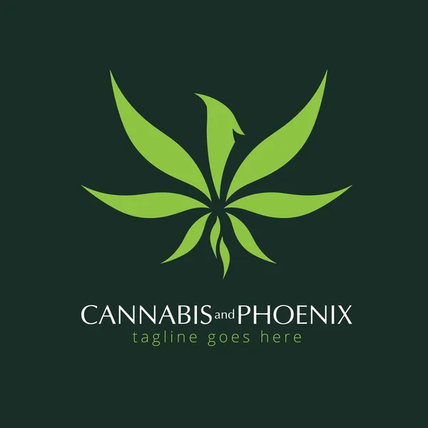 CBD yağı için esrar ve Phoenix logo şablonu vektör çizimi
