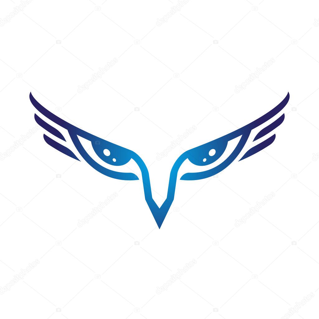 Eagle eye symbol predator eye vector