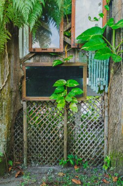 Kalın ağaç gövdeleri, sarmaşıklar ve dağınık eski ahşap pencere çerçeveleriyle çevrelenmiş, yıpranmış, gri bir kafes kapısı veya çit yoğun bir şekilde tropikal çevre ile entegre.