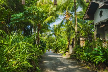 Yoğun, güneşli, yeşil bitkiler, uzun hindistan cevizi palmiyeleri ve geleneksel ahşap bir evin kenarları ile çevrili tropikal bir arazide kıvrılan asfalt bir yol veya patika..