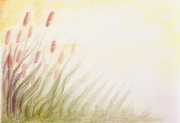 Färgglada drawind av vass på abstrakt fläckig bakgrund — Stockfoto