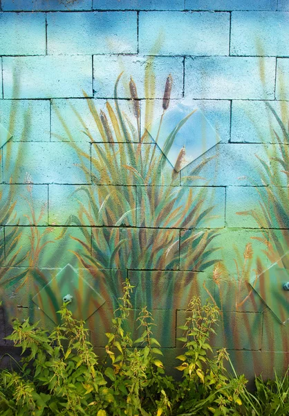 束的野生蔗芦苇画在墙上 — 图库照片