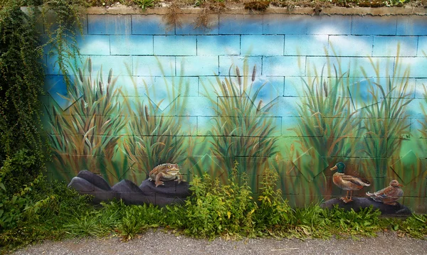 野生自然风光壁画与蟾蜍和鸭湖一边查看 — 图库照片