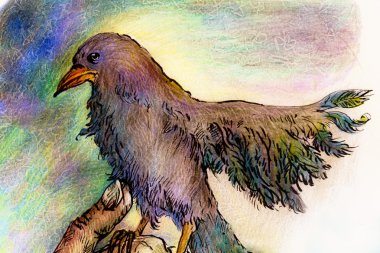 Fantasy park bird detailed colorful ornamental drawing, profile portrait, abstract background
