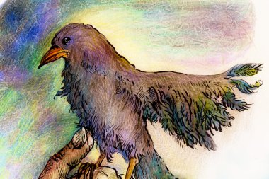 Fantasy park bird detailed colorful ornamental drawing, profile portrait, abstract background clipart