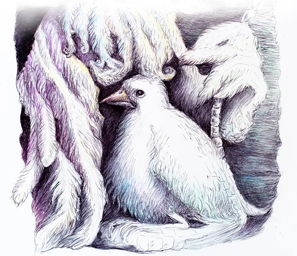 Красивый детальный фэнтези-рисунок феи с пером и белой птицей, декоративный монохроматический стиль, детальный узор — стоковое фото