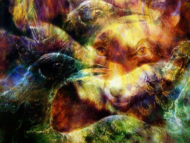 the phoenix bird  and fox collage.