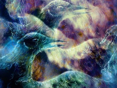 the phoenix bird  collage clipart