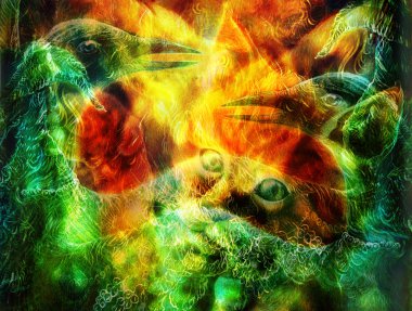Bird and radiant orange cat head playing with a peacock feather, head detail close up,  with phoenix collage