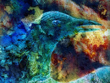 the phoenix bird   collage