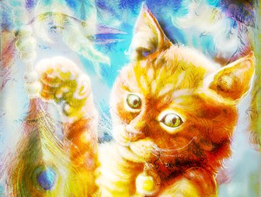 Bird and radiant orange cat head playing with a peacock feather, head detail close up,  with phoenix collage