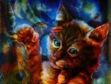 Bird and radiant orange cat head playing with a peacock feather, head detail close up,  with phoenix collage