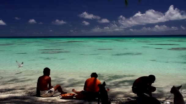 Folk som kopplar av på stranden — Stockvideo