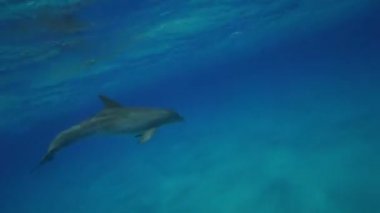 Yunus Açık sularda