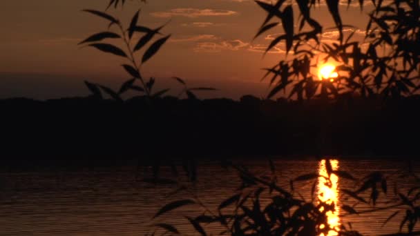 Coucher de soleil sur le lac — Video