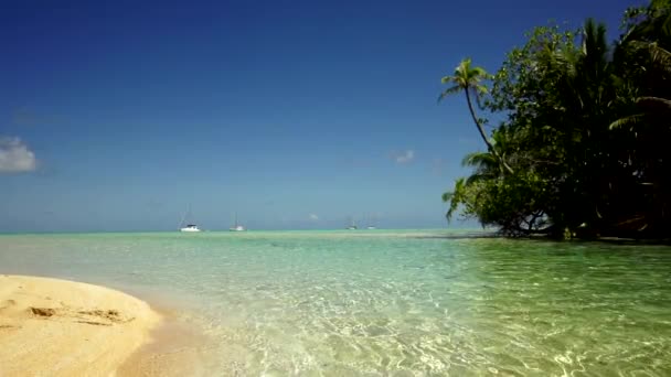 地处热带的海滩和小船 — 图库视频影像