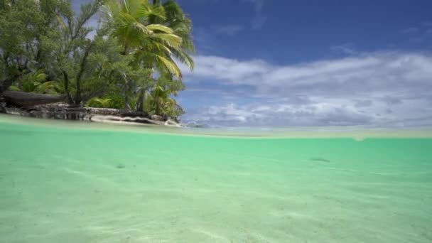 Vacker tropisk strand — Stockvideo