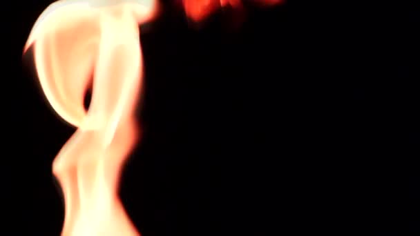 Feuer aus einer Fackel in der Nacht — Stockvideo