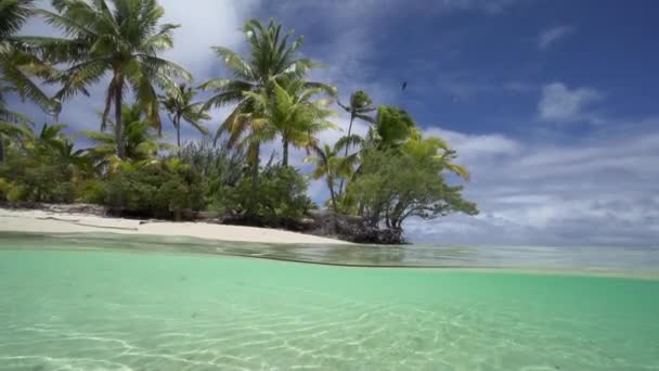 Hermosa playa tropical — Vídeo de stock