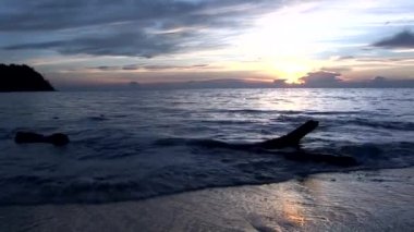 gün batımı sahilde dalgaların karaya attığı odun